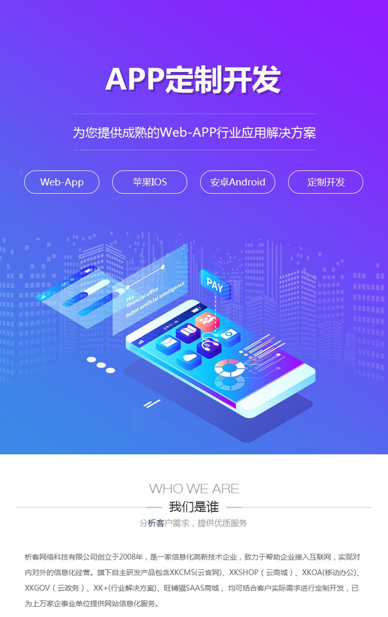 上海软件开发：技术引领未来