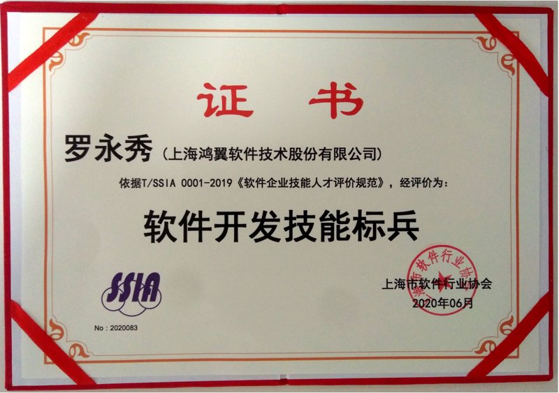上海软件开发：技术引领未来